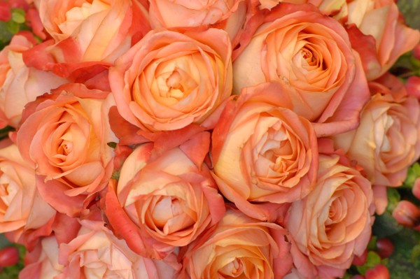 wuesterblumenladen013